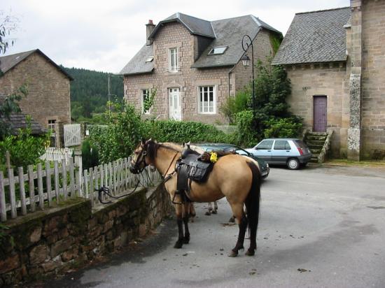 CHEVAUX